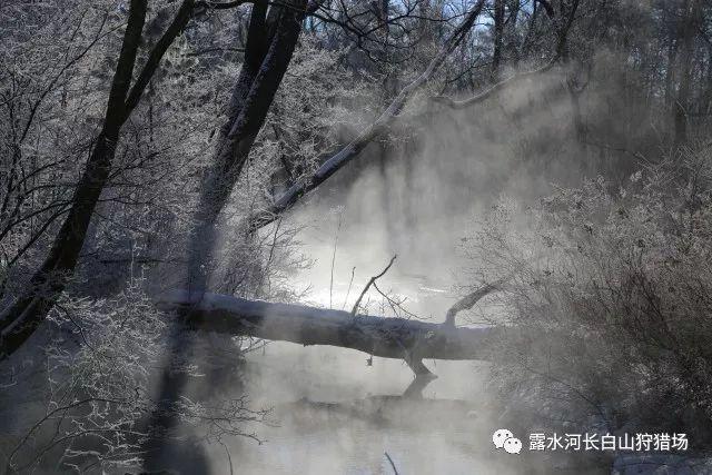 聪明如蜗牛,解答之力|英语的否定句是什么意思?问答平台